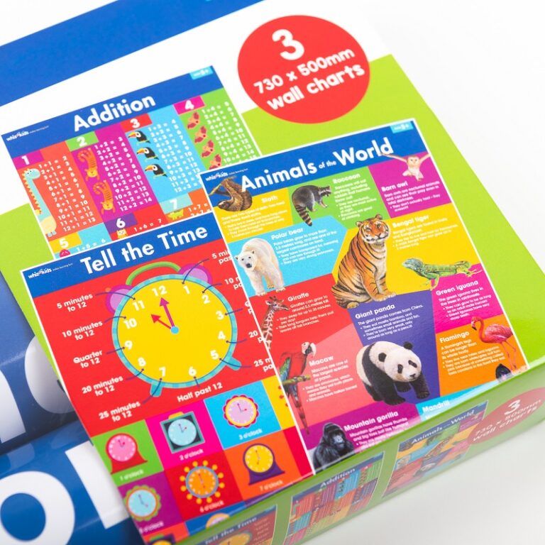 early-learning-wall-charts-mr-price-ireland